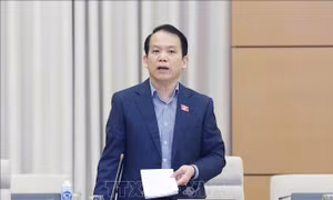 Bổ sung dự án Luật Khám bệnh, chữa bệnh (sửa đổi) 