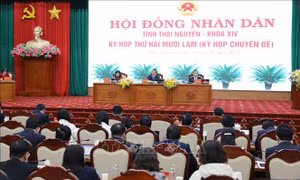 Các tỉnh Thái Bình, Thái Nguyên, Bắc Giang thành lập, tổ chức lại các cơ quan chuyên môn