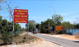 Bình Thuận: Chấn chỉnh việc giao dịch, mua bán và chuyển nhượng bất động sản