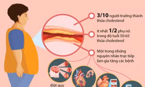 Báo động tình trạng thừa cholesterol ở người Việt
