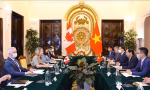 Bộ trưởng Bộ Ngoại giao Bùi Thanh Sơn hội đàm với Bộ trưởng Ngoại giao Canada 