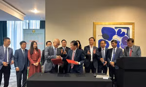 Tỉnh Hòa Bình xúc tiến đầu tư thương mại tại Anh