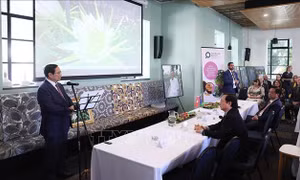  Thủ tướng Phạm Minh Chính kỳ vọng đột phá hợp tác kinh tế nông nghiệp với New Zealand