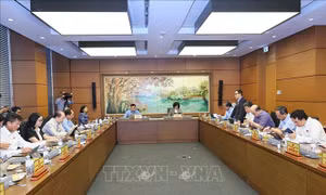 Đề xuất luật hóa việc thiết lập hành lang không gian, tầm nhìn hướng biển