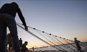 Israel nới lỏng kiểm soát và mở rộng vùng đánh cá tại Dải Gaza