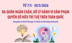 Ra quân ngăn chặn, xử lý hành vi xâm phạm quyền sở hữu trí tuệ trên toàn quốc