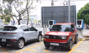 Tây Ninh thúc đẩy chuyển đổi năng lượng xanh trong giao thông