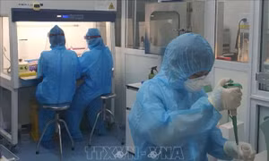 Nghệ An sẽ xử lý nghiêm các trường hợp khai báo không trung thực trong phòng, chống dịch