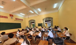 Cần Thơ: Tạm thời không thu học phí học kỳ I năm học 2021 - 2022