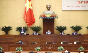 Bảo đảm chất lượng cao nhất cho các dự án luật