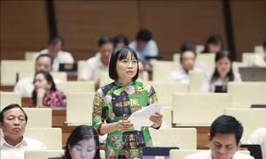 Bên lề Kỳ họp thứ 6, Quốc hội khoá XV: Nhiều giải pháp tổng thể cho tăng trưởng