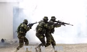 Mỹ và 20 nước bắt đầu cuộc diễn tập quân sự 'Flintlock 2018' tại châu Phi