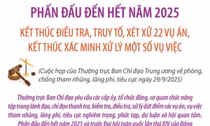 Kết thúc điều tra, truy tố, xét xử 22 vụ án, kết thúc xác minh xử lý một số vụ việc