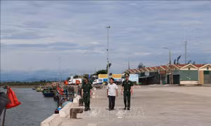 Khắc phục 'thẻ vàng' IUU: 'Lá chắn' bảo vệ ngư trường từ cơ sở