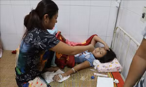 Vụ 352 học sinh Ninh Bình nhập viện: Phạt trường Tiểu học Đinh Tiên Hoàng 30 triệu đồng 