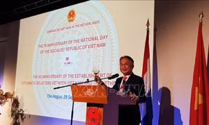 Việt Nam và Hà Lan coi trọng tăng cường hợp tác toàn diện
