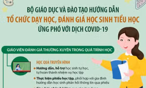 Tổ chức dạy học, đánh giá học sinh tiểu học như thế nào?