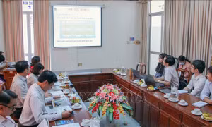 Cần Thơ tham gia Chương trình thành phố Xanh của WWF
