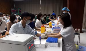 Hải Dương tôn vinh trên 200 điển hình tiên tiến tham gia vận động, hiến máu tình nguyện