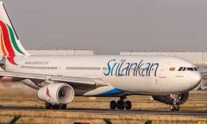 Chuột gây sự cố hi hữu cho máy bay của SriLankan Airlines