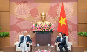 Thúc đẩy hợp tác giữa các cơ quan lập pháp của Việt Nam và Bỉ