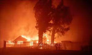 Mỹ: Xuất hiện đám cháy rừng mới và khó kiểm soát tại bang California