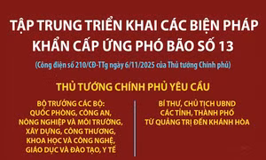 Tập trung triển khai các biện pháp khẩn cấp ứng phó bão số 13 (Kalmaegi)