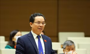 Không để thống kê chỉ là con số