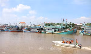 Bến Tre: Xuân với người lính quân hàm xanh nơi cửa biển Bình Đại
