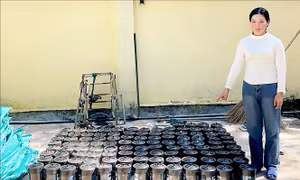 Thu giữ hơn 1.600 bình khí cười tại khu vực biên giới tỉnh Quảng Ninh