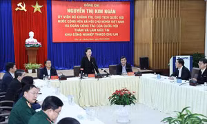 Chủ tịch Quốc hội thăm và làm việc tại Khu công nghiệp Thaco Chu Lai