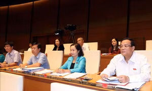 Cử tri mong đợi quy định pháp lý tối ưu về xử lý tài sản, thu nhập bất minh