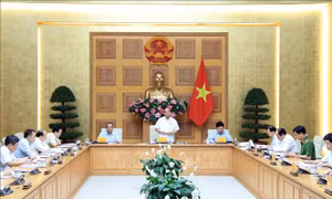 Thủ tướng chủ trì họp tháo gỡ khó khăn cho doanh nghiệp dầu khí và hàng không