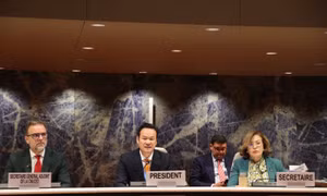 Việt Nam điều hành Kỳ họp thứ 14 Ủy ban Đầu tư, Doanh nghiệp và Phát triển của UNCTAD