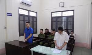 Hai đối tượng lãnh án tù do làm giả giấy khám sức khỏe rao bán qua mạng