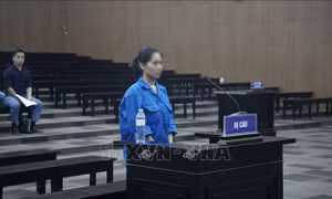 Giám đốc show 'Về đây bốn cánh chim trời' bị phạt 24 tháng tù