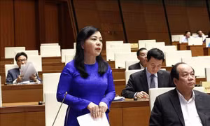 Bộ trưởng Nguyễn Thị Kim Tiến: Phát triển ngành y tế theo hướng 'kiềng ba chân'