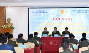 Tăng cường phối hợp kiểm tra, xử lý các vụ phá rừng khu vực phía Bắc