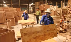 Doanh nghiệp ‘đau đầu’ về giấy chứng nhận xuất xứ hàng hóa C/O