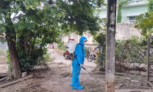 Đi trước một bước trong phòng dịch sốt xuất huyết, tay chân miệng