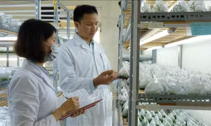 Ứng dụng năng lượng nguyên tử tại Việt Nam - Bài 1: Dấu ấn trên nhiều lĩnh vực