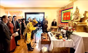 Giỗ Tổ Hùng Vương 2026: Từ Canada hướng về đất Tổ