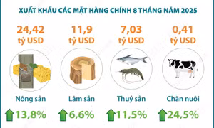 8 tháng năm 2025: Xuất khẩu nông, lâm, thủy sản tăng 12%