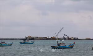 Sớm hoàn thành khu neo đậu tránh bão cho tàu cá ở đảo Phú Quý