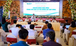 Khuyến nông cộng đồng để sản xuất cà phê không gây mất rừng