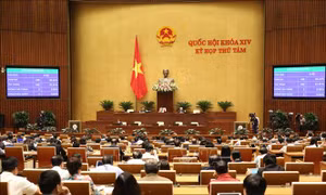 Kỳ họp thứ 8, Quốc hội khóa XIV: Thông cáo báo chí số 24