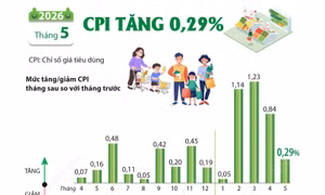 CPI tháng 5/2026 tăng 0,29%