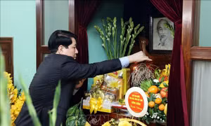 Chủ tịch nước Lương Cường dâng hương tưởng niệm Chủ tịch Hồ Chí Minh