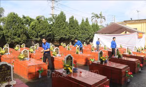 Tuổi trẻ góp sức nối những cuộc trở về
