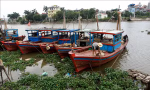 Thái Bình nghiêm cấm tàu, thuyền ra khơi từ 12 giờ ngày 7/7
